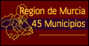 Red de Portales de la Regi&oacute;n de Murcia