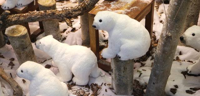 CONCURSO DE ESCAPARATES DE NAVIDAD 2016