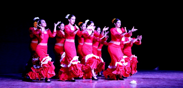 XIV GALA DE DANZA PRYREM