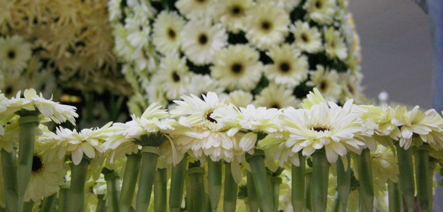 Intensa noche de trabajo para un Domingo de Gloria 2016