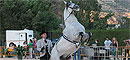 Espectculo ecuestre Arte y Fantasa del Caballo Espaol
