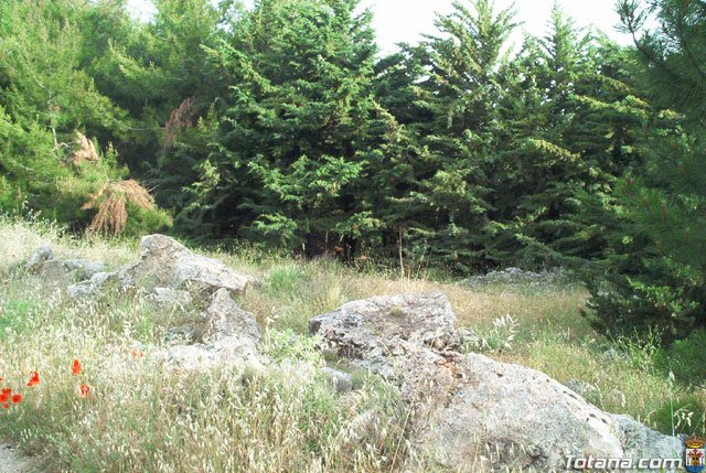 Fotoagrafa relacionada con la noticia, 