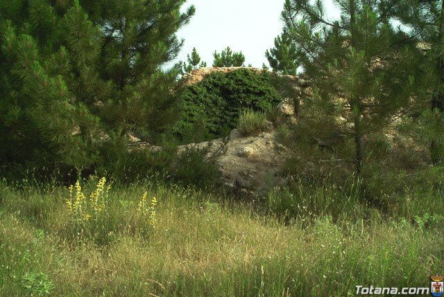 Fotoagrafa relacionada con la noticia, 