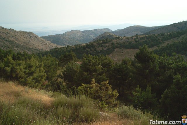 Fotoagrafa relacionada con la noticia, 