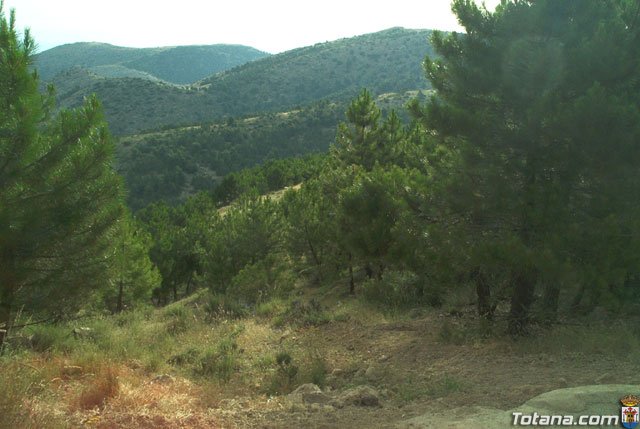 Fotoagrafa relacionada con la noticia, 