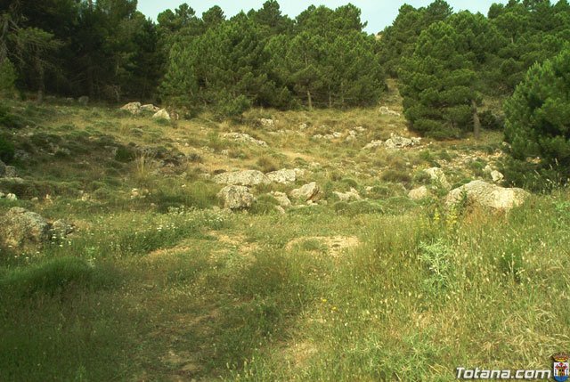 Fotoagrafa relacionada con la noticia, 