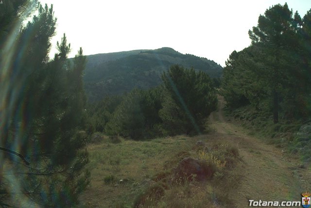 Fotoagrafa relacionada con la noticia, 