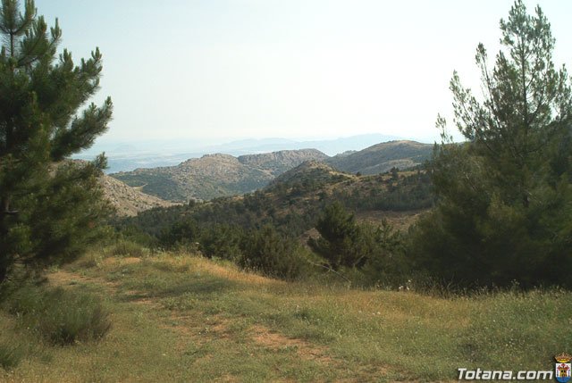 Fotoagrafa relacionada con la noticia, 