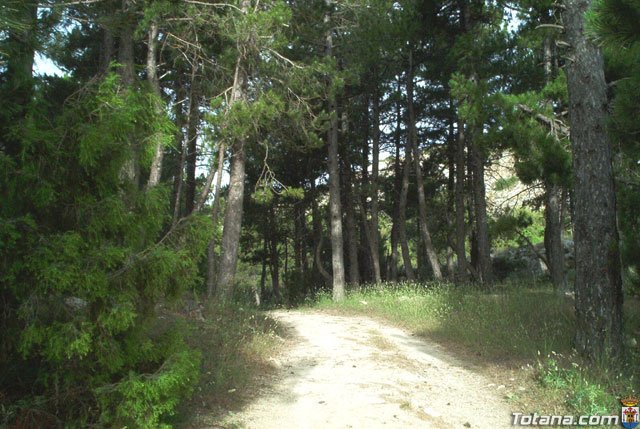 Fotoagrafa relacionada con la noticia, 