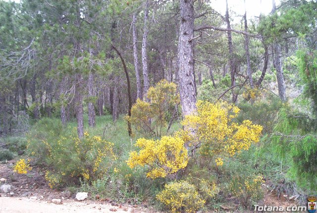 Fotoagrafa relacionada con la noticia, 