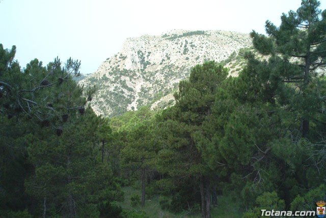 Fotoagrafa relacionada con la noticia, 