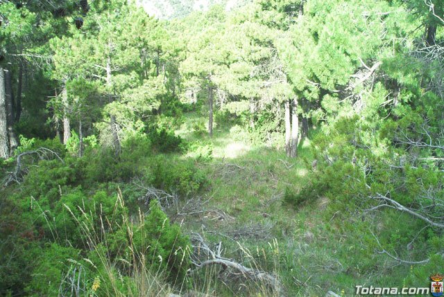 Fotoagrafa relacionada con la noticia, 