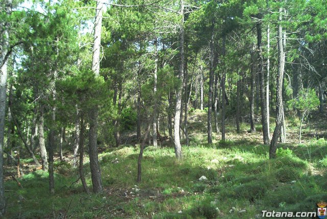 Fotoagrafa relacionada con la noticia, 