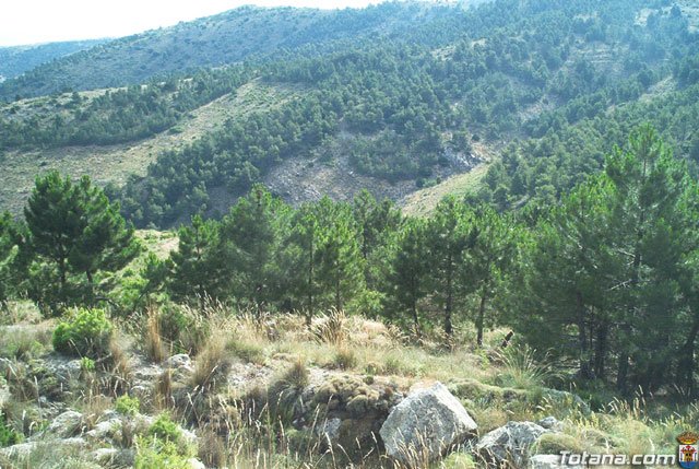 Fotoagrafa relacionada con la noticia, 