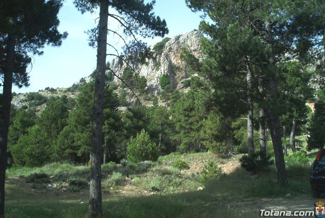 Fotoagrafa relacionada con la noticia, 