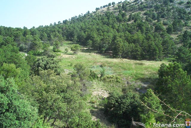 Fotoagrafa relacionada con la noticia, 
