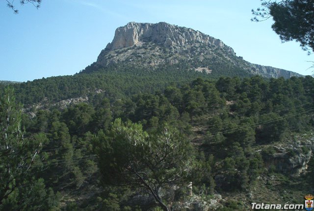 Fotoagrafa relacionada con la noticia, 