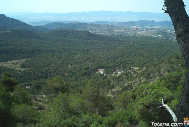 Fotoagrafa relacionada con la noticia, 